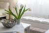 Апартаменты Juozapaviciaus apartments Вильнюс-5