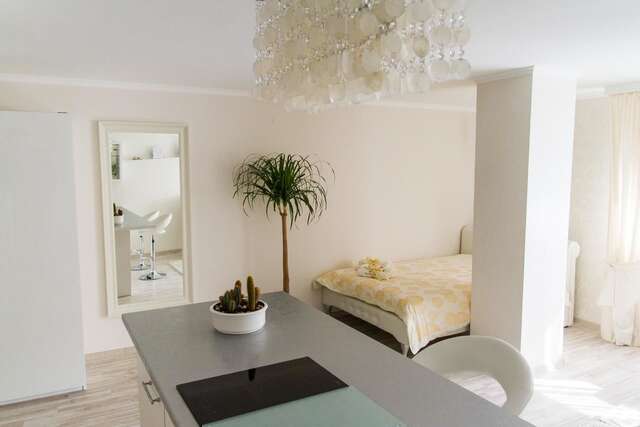 Апартаменты Juozapaviciaus apartments Вильнюс-11
